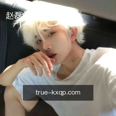 赵磊